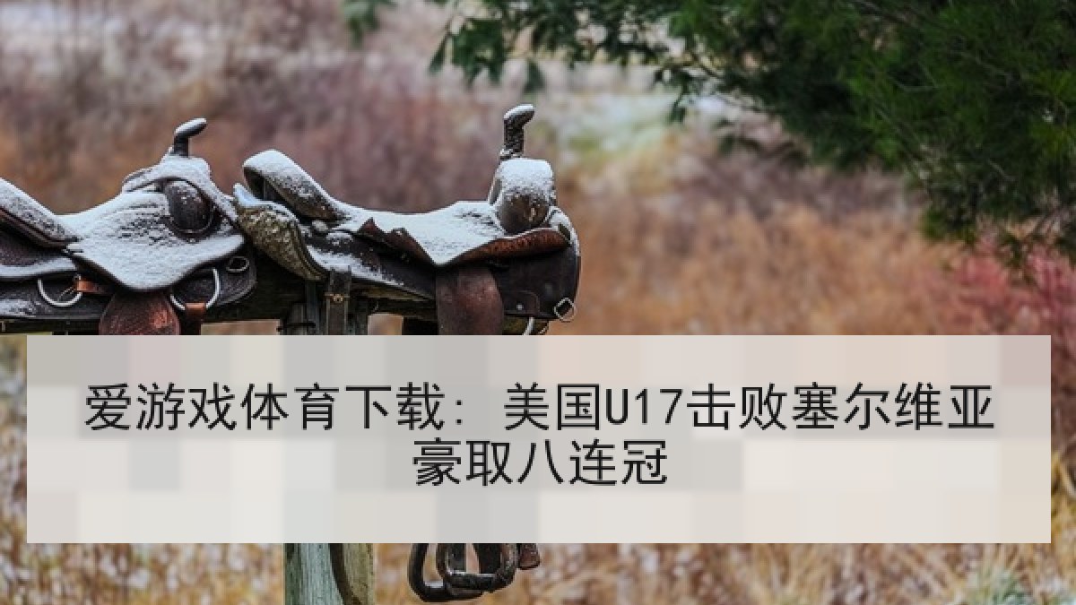 爱游戏体育下载: 美国U17击败塞尔维亚豪取八连冠