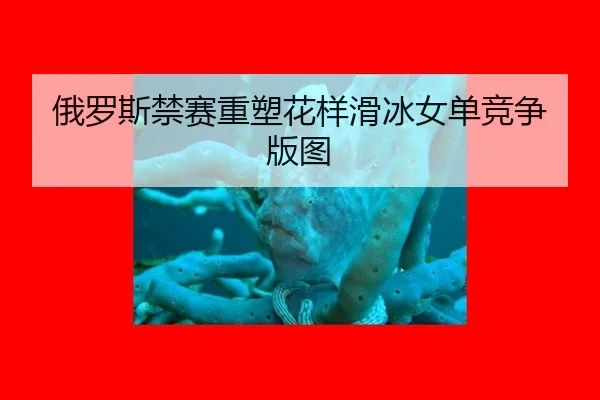 俄罗斯禁赛重塑花样滑冰女单竞争版图