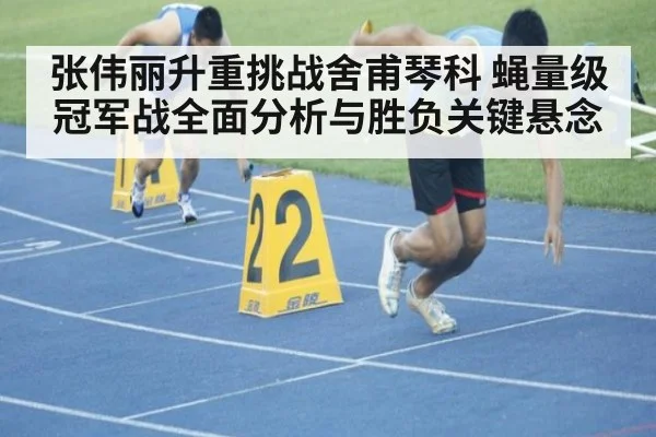 张伟丽升重挑战舍甫琴科 蝇量级冠军战全面分析与胜负关键悬念