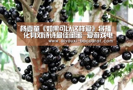 爱游戏电竞赛事