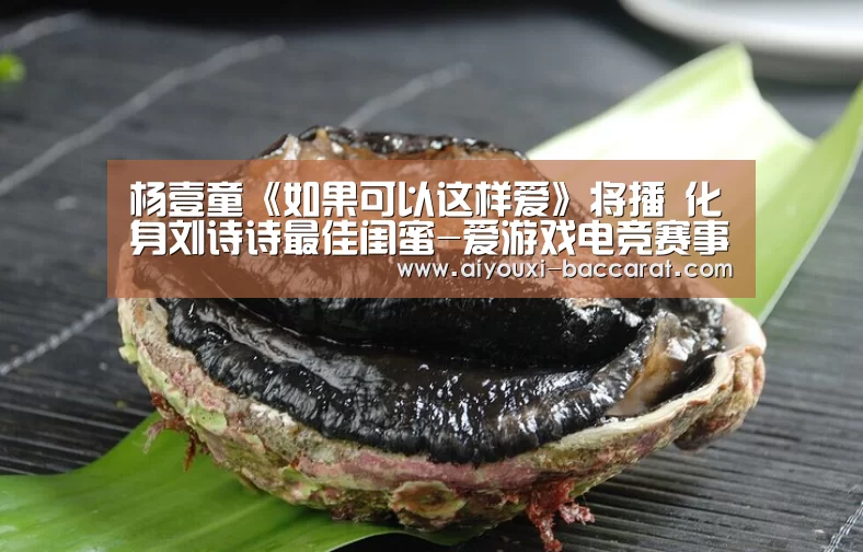 爱游戏电竞直播