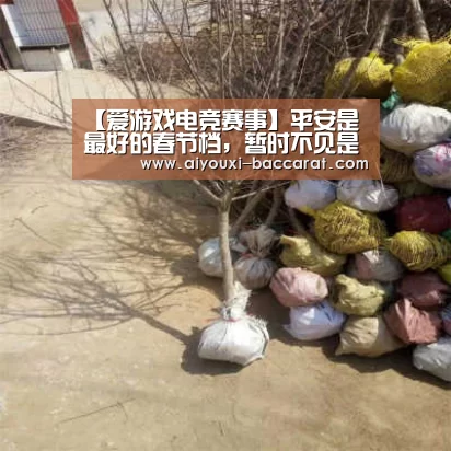 爱游戏电竞APP
